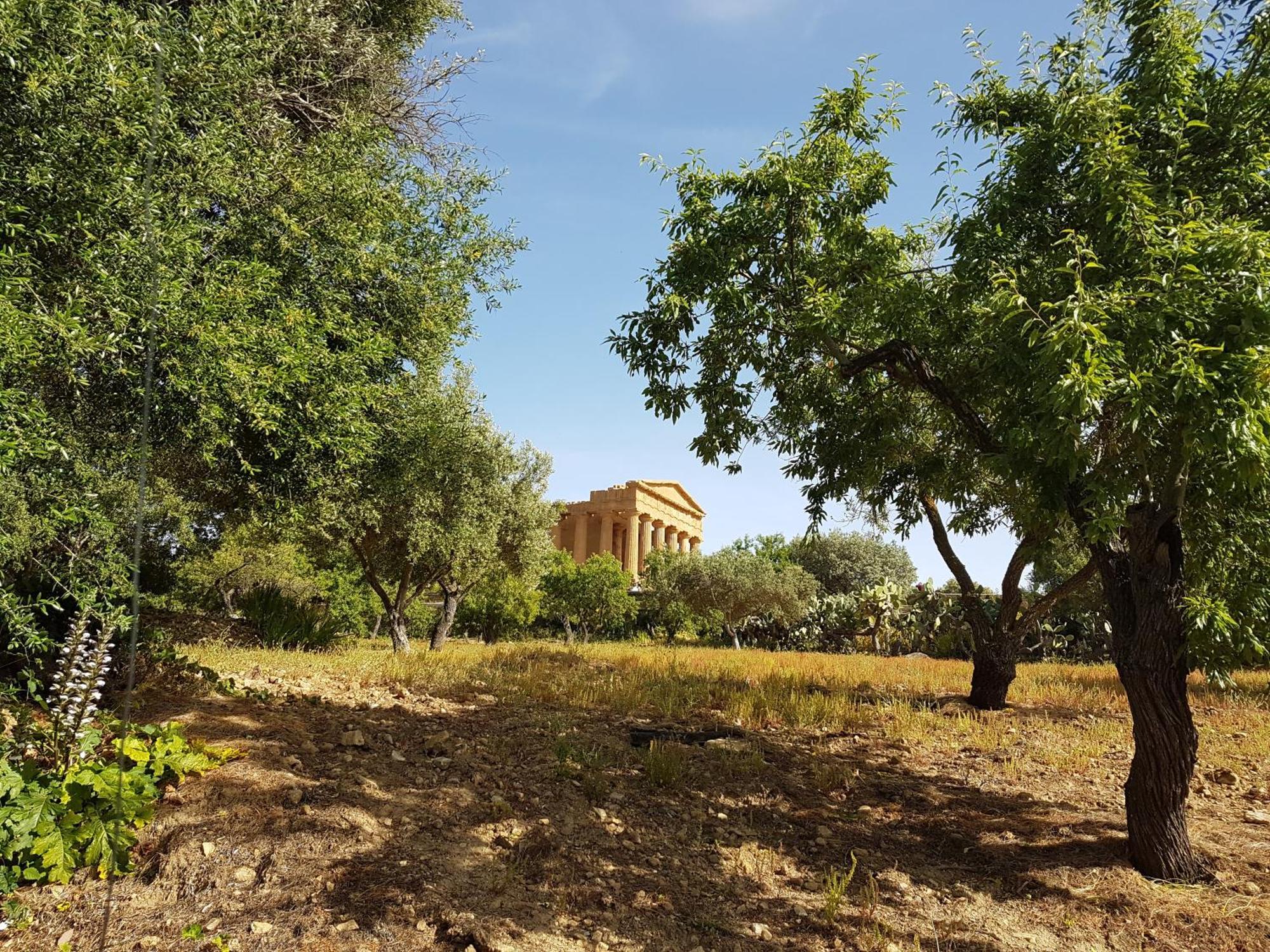 Lala Salama San Leone Exteriér fotografie